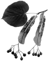 Tilia americana NRCS-3.png